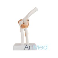 Articulação Cotovelo ART-112 | ArtMed