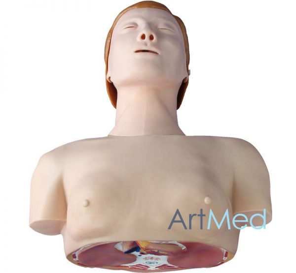 Treinamento Básico CPR ART-404 | ArtMed