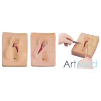 Treinamento Sutura Vulva ART-447 | ArtMed