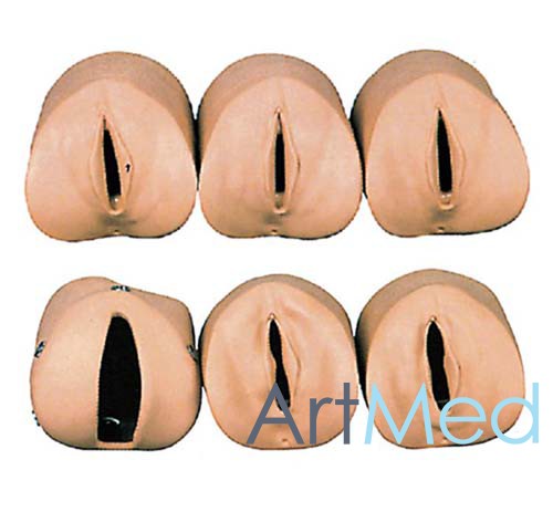 Simulador Avançado Aborto Artificial Útero ART-449 | ArtMed