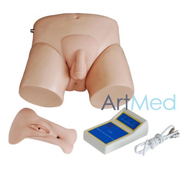 Urinária Eletrónica ART-408 | ArtMed