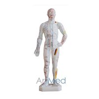 Modelo de Acupunctura 26CM | ArtMed
