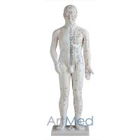 Modelo de Acupunctura 70CM | ArtMed