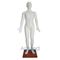 Modelo de Acupunctura 178CM ART-501B | ArtMed