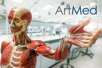 Artmed | Modelos Anatómicos